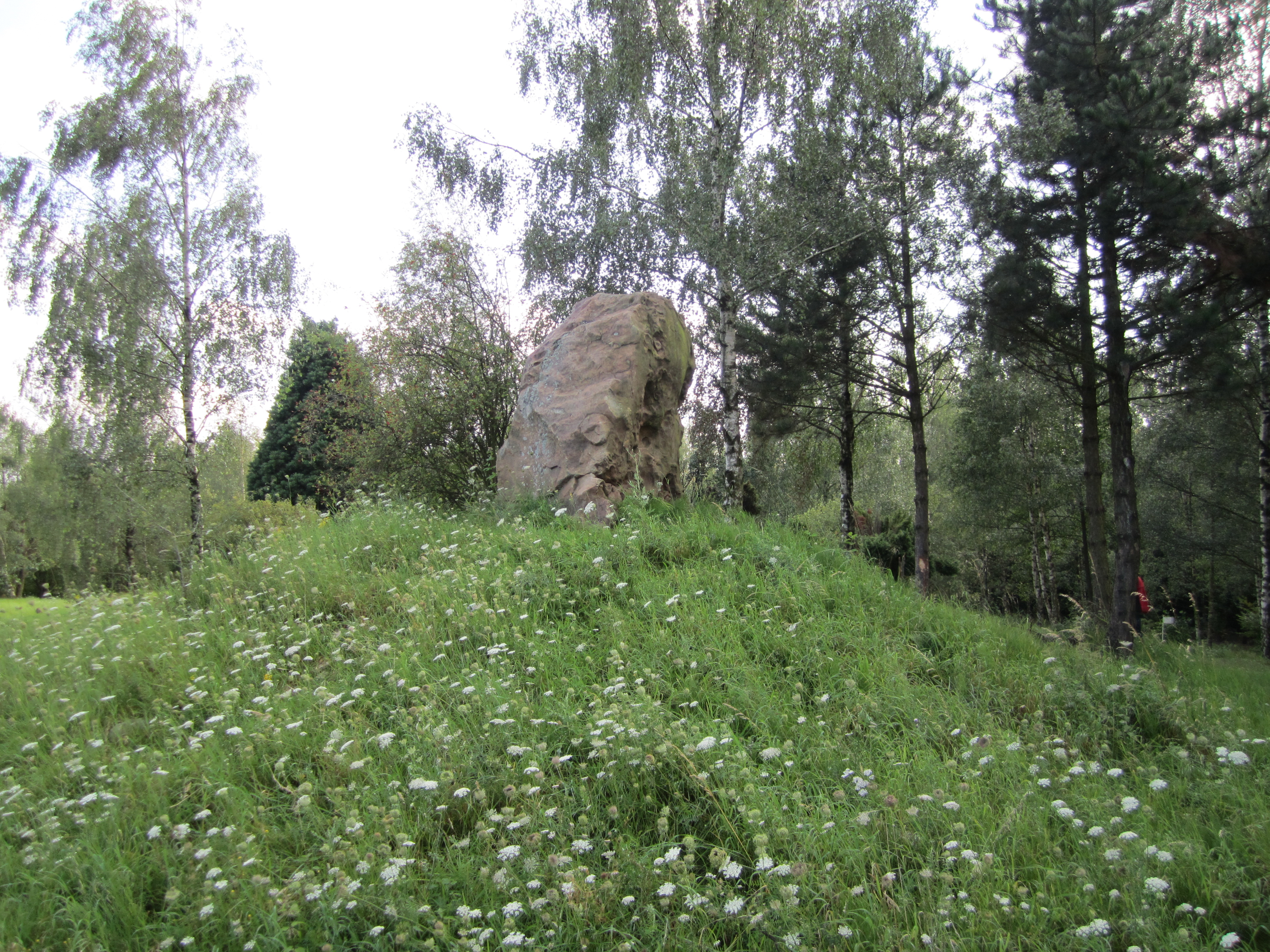 Monte Sophia 6